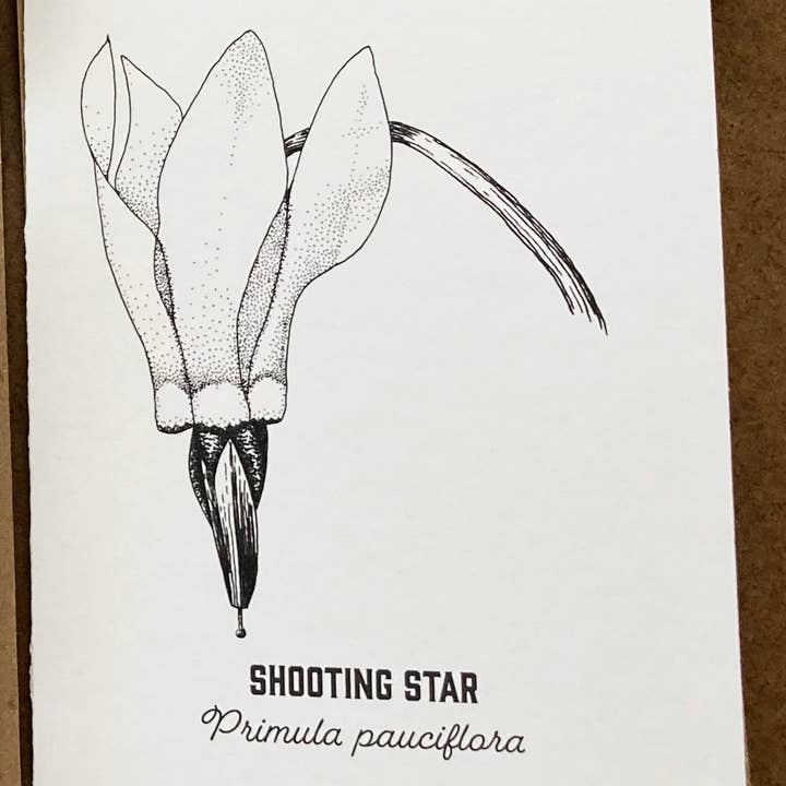 Madrona Press - Wholesale DIY Craft Kit - Watercolor Card Kit - 1 Wildflower Card10