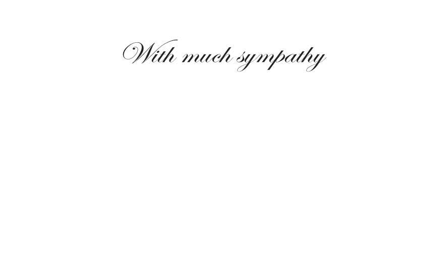 Horse Hollow Press - Wholesale Sympathy Card - Horse Sympathy Greeting Card / Thinking of You1