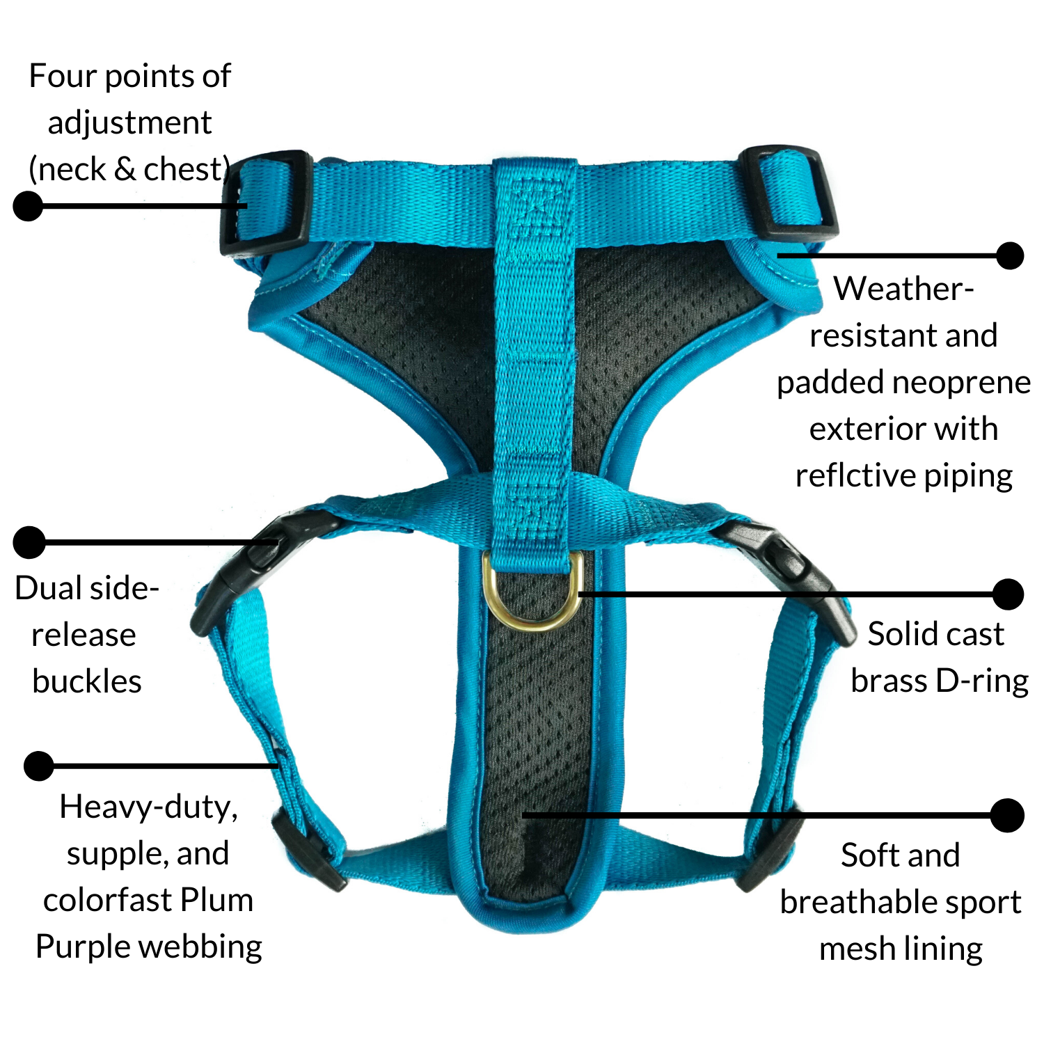 DJANGO - Wholesale Pet Harness - Dog - Adventure Dog Harness - Pacific Blue3