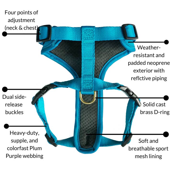 DJANGO - Wholesale Pet Harness - Dog - Adventure Dog Harness - Pacific Blue3