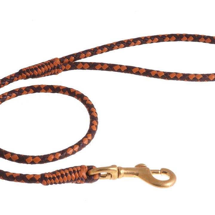Alvalley - Wholesale Pet Leash - Dog - Braided Leather Snap Leads95
