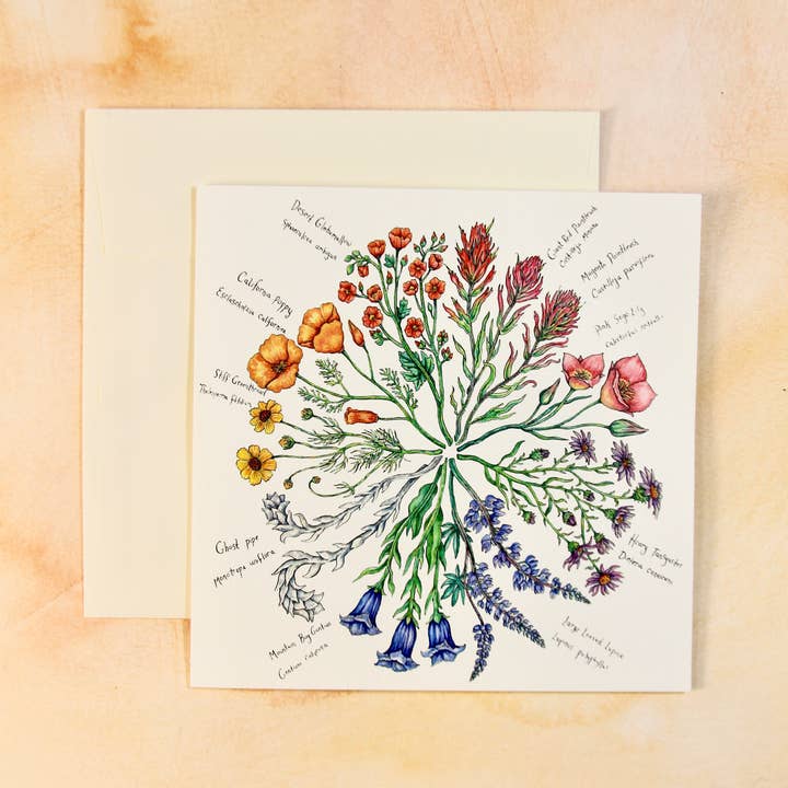 Claire Loon Baldwin Illustration - Wholesale Everyday Greeting Card - Wildflower Color Wheel Greeting Card1