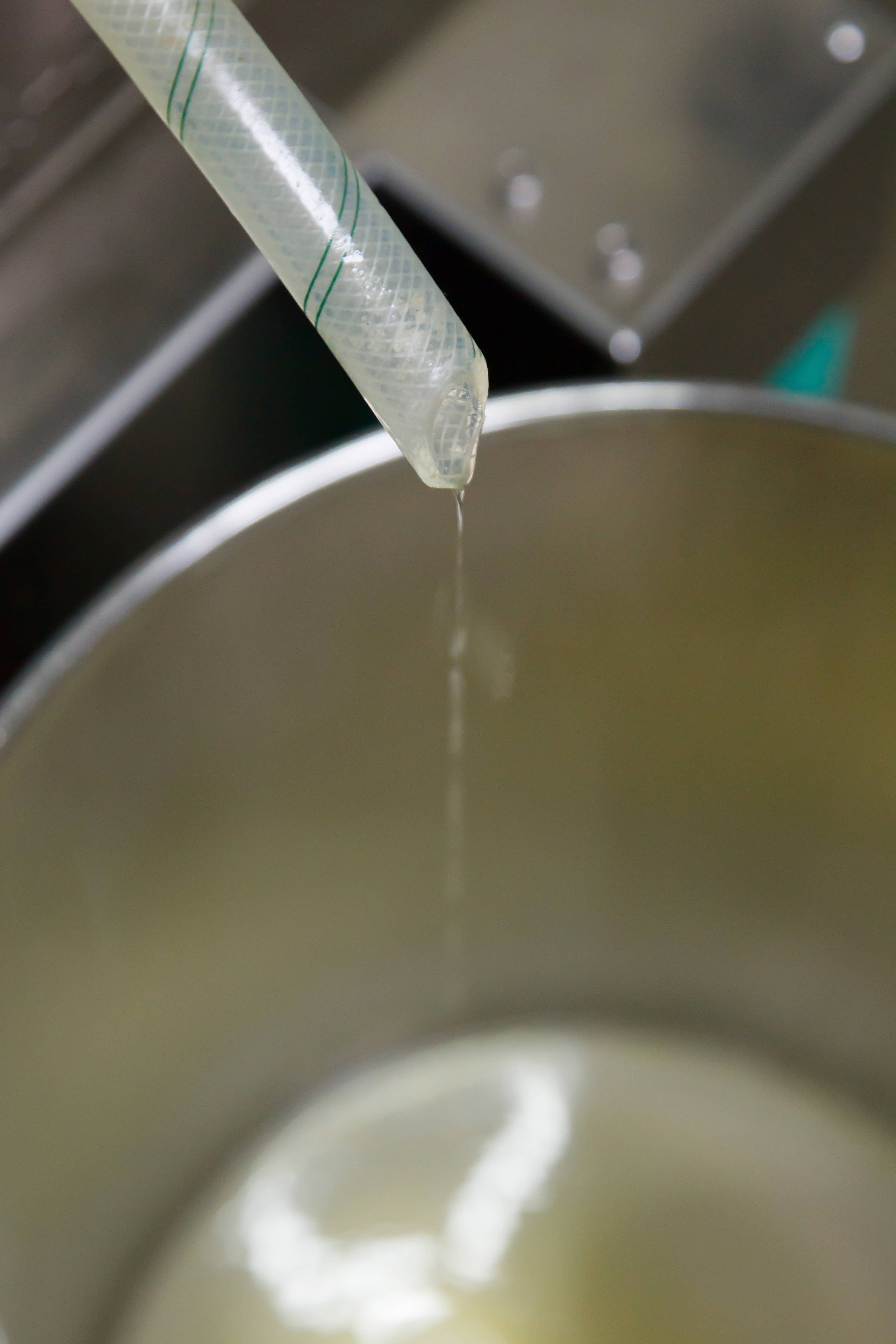 Japan Artisans – wholesale Cooking oil – Henko-Extra virgin sesame oil 140g | Made in Japan3