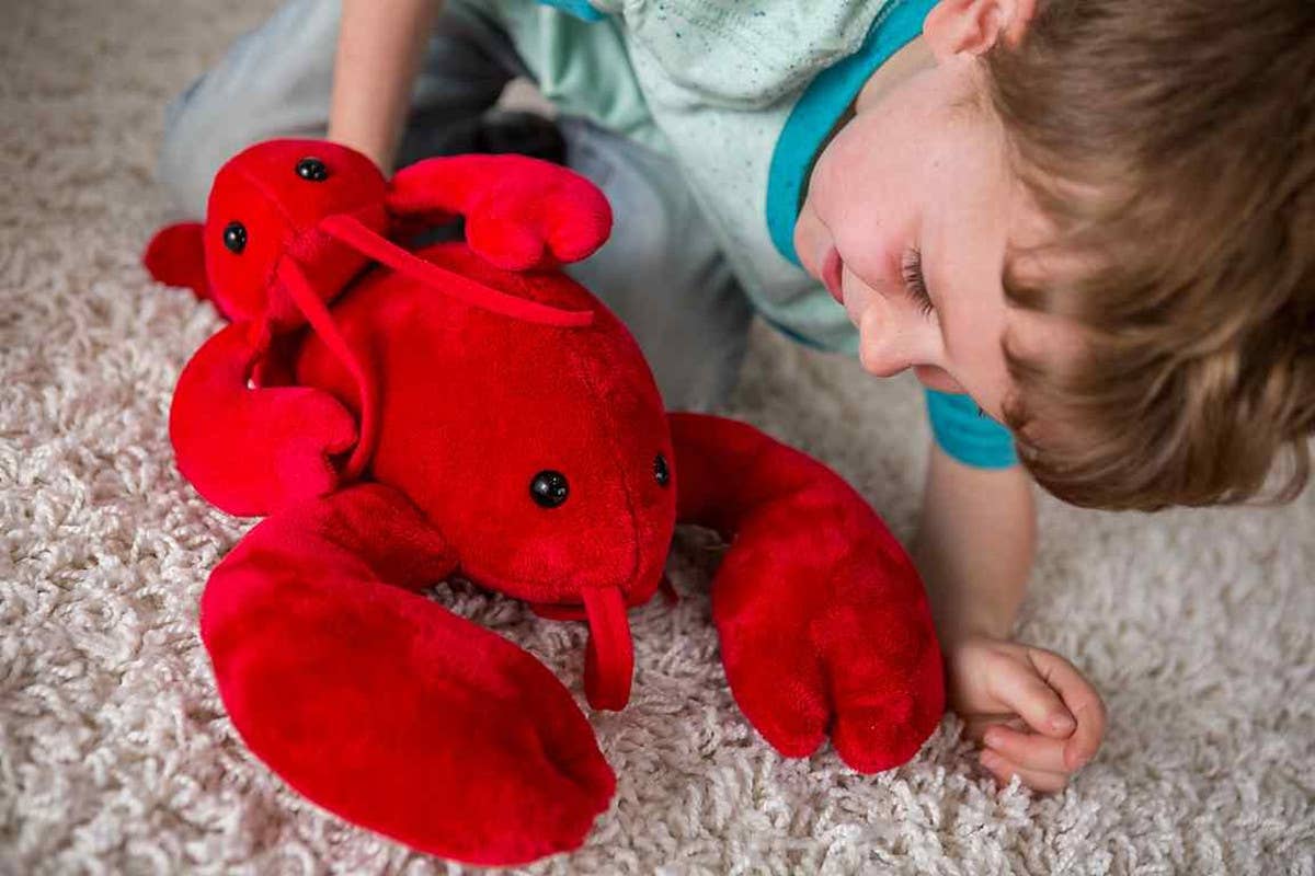 Mary Meyer - Wholesale Stuffed/Plush Toy - Kids & Baby - Lobbie Lobster - Large1
