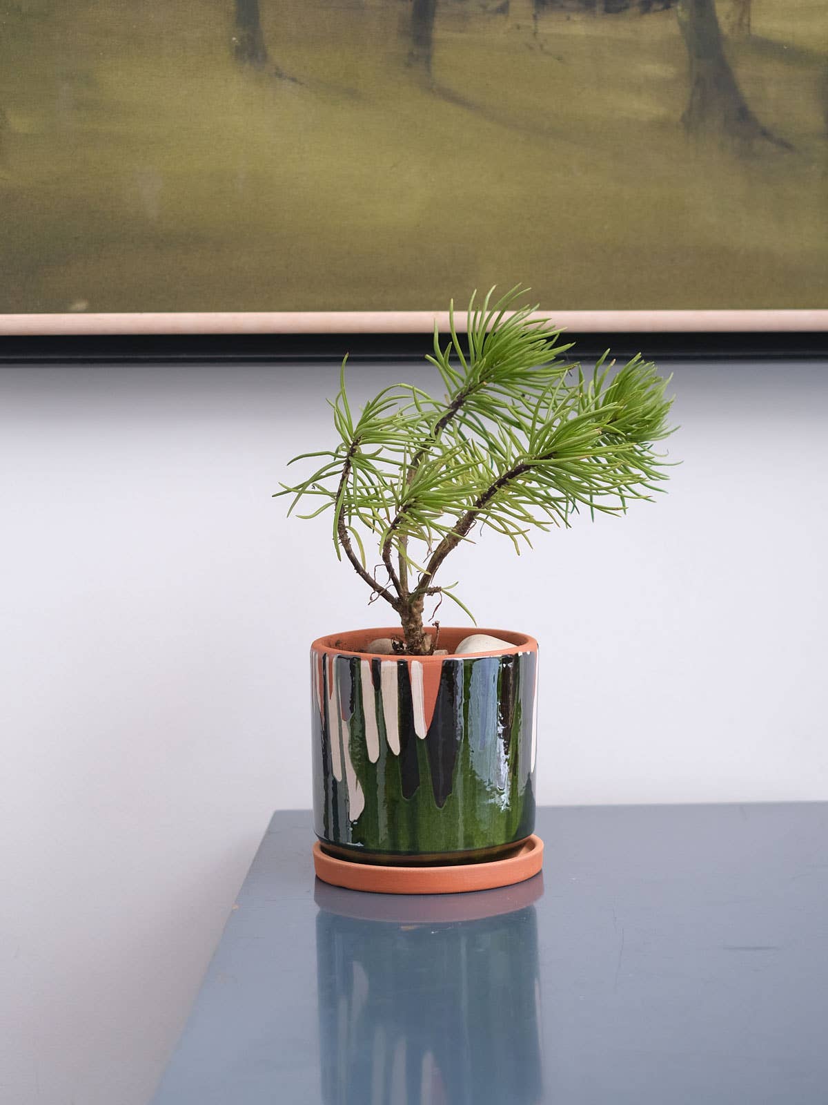 Casa Atlântica - Wholesale Plant Pot - Clay pot with white slip and green glaze3