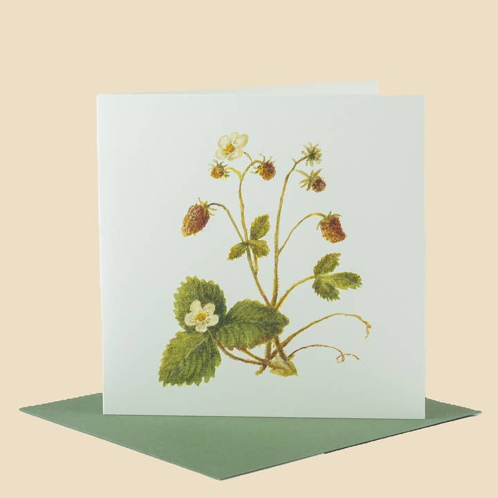 Sophia Davenport - Wholesale Everyday Greeting Card - Wildflower Greeting Cards and Notelets56