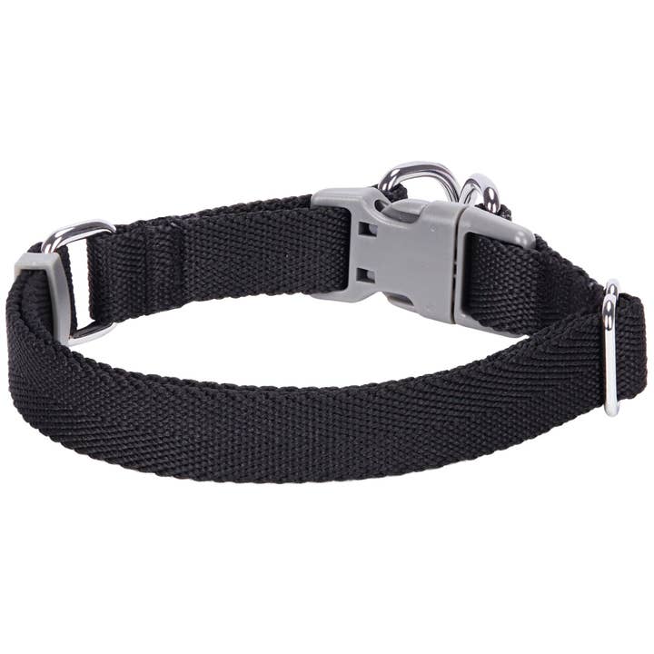 Blueberry Pet - Wholesale Pet collar – Dog - Best-Seller Double D-Ring Dog Collar -Must-Have for All Dogs86