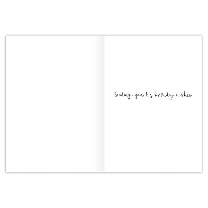 Biely & Shoaf - Wholesale Birthday Card - Age Is Irrelephant Elephant Birthday Card
