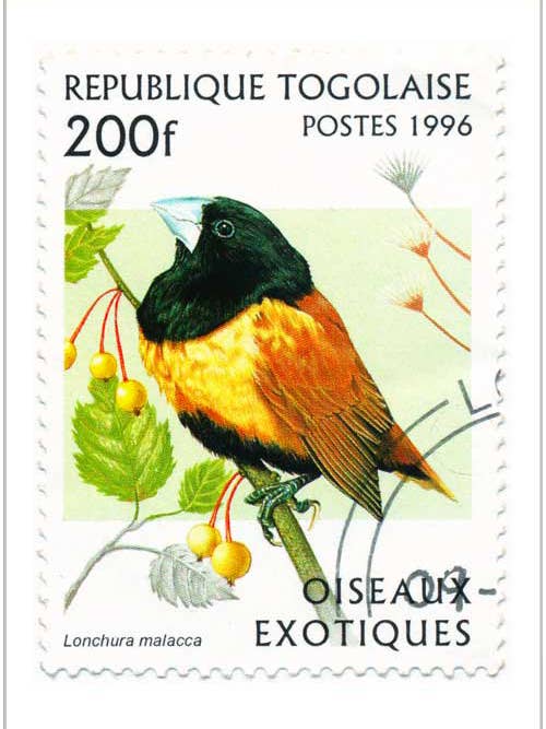 Malacca for wholesale by Finalina