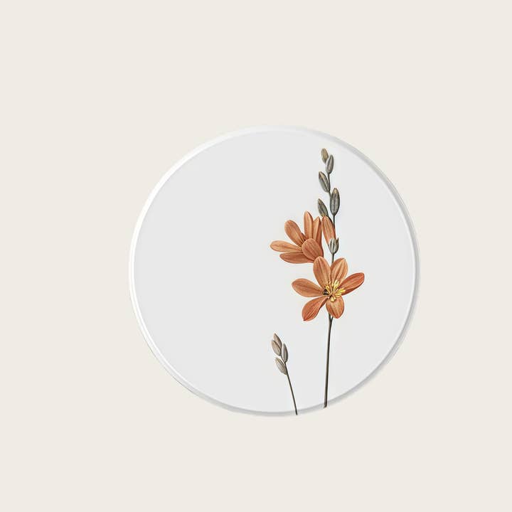 Otterware - Wholesale Coasters - Absorbent Diatomite Coasters - Vintage Botanical Designs0