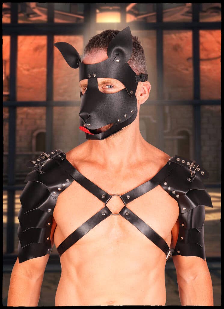 Western Fashion - Wholesale Costume - Men's - 63316 - Leather Face Mask, dog0