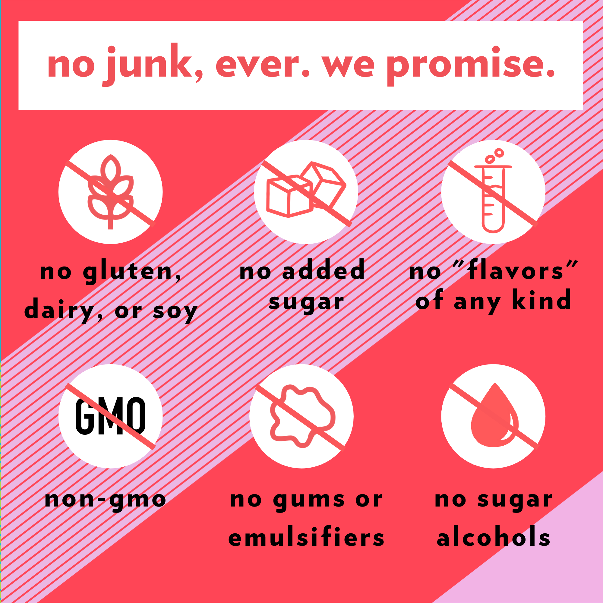 B.T.R. Bar - Wholesale Snack bar - CINNAMON COOKIE DOUGH Superfood Nut Butter Bar7