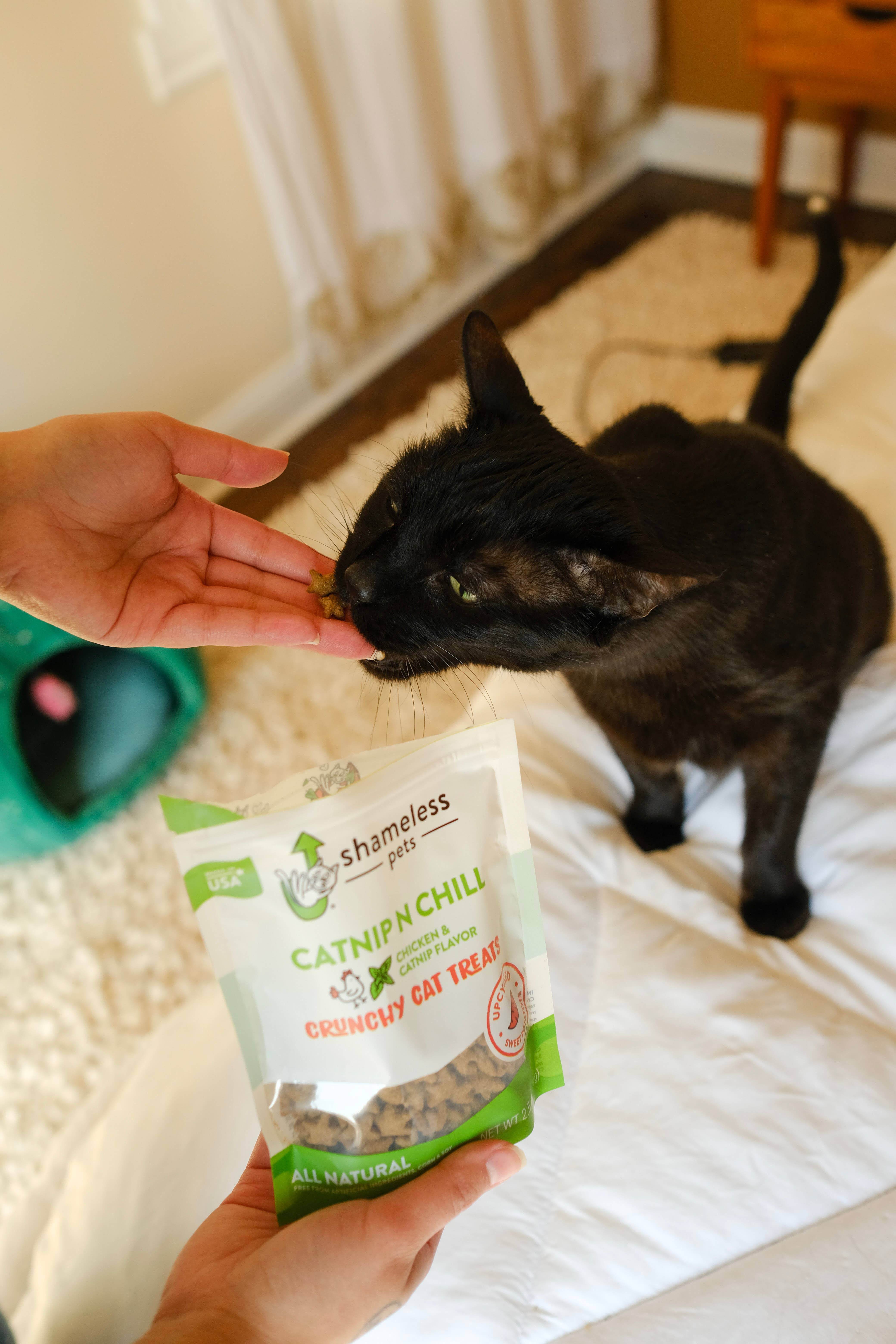 Catnip N Chill Crunchy Cat Treats | Faire.com