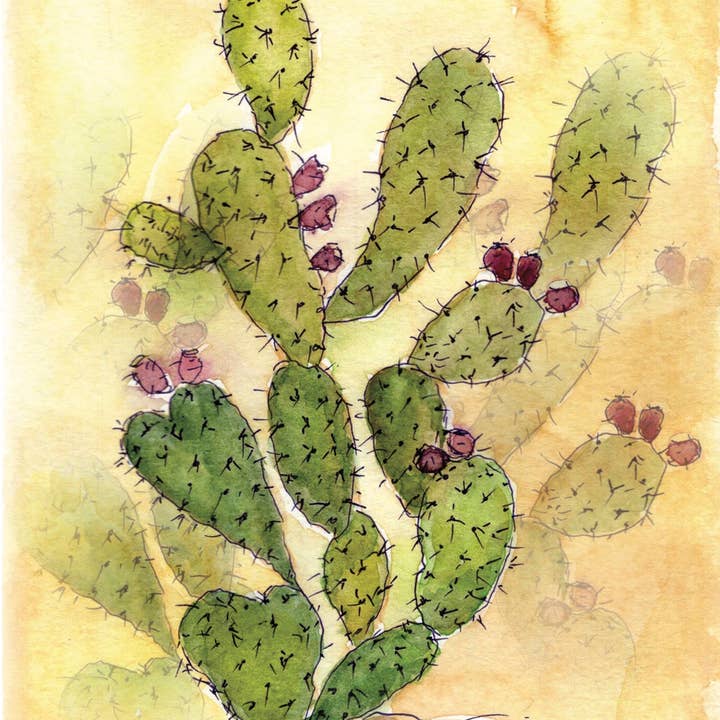 SAS {Seattle Art Studio} – Großhandel Briefpapier-/Postkarten-Set – Kaktusfeigen-Kaktus