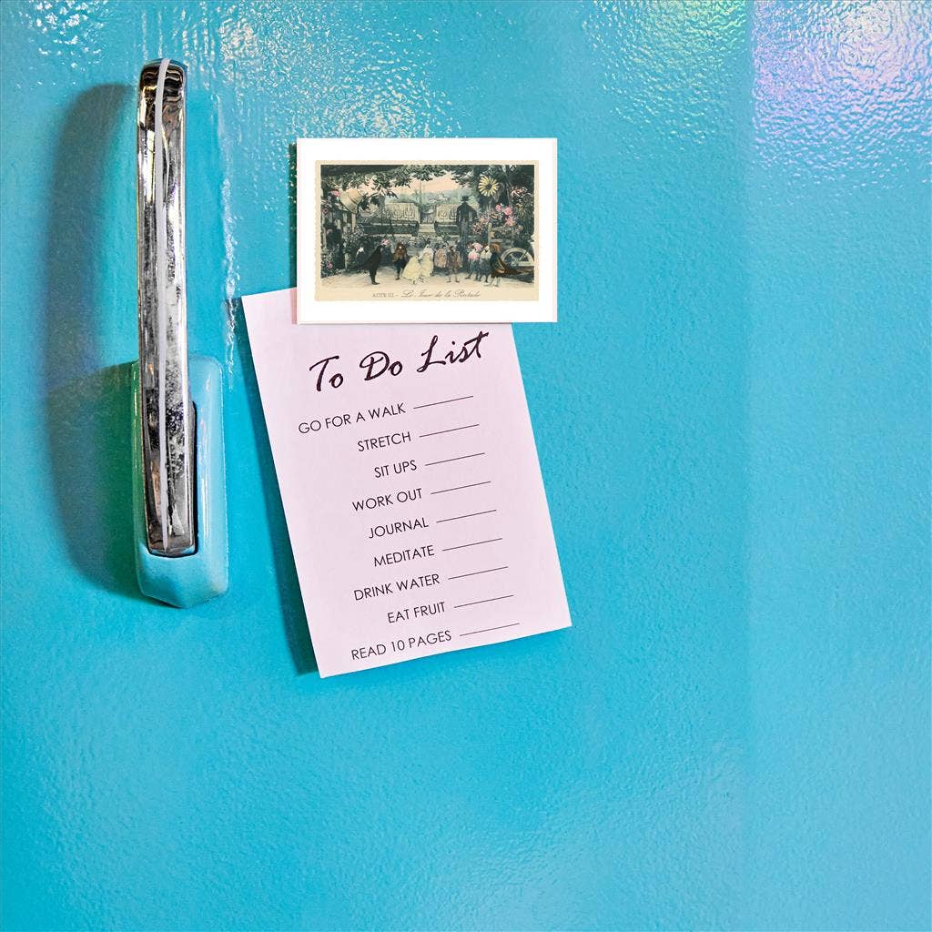 Found Image Press - Wholesale Magnet - Magnet AP-232 Production of Day of the Guinea Fowl1