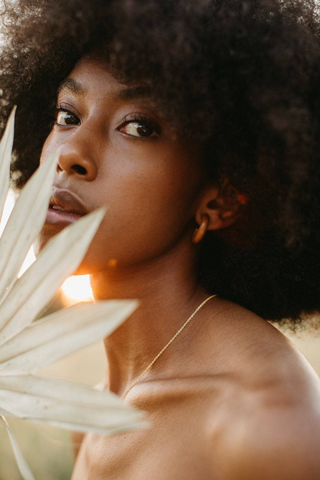 Rover & Kin - Wholesale Hoop Earrings - Wood Essential Hoops5