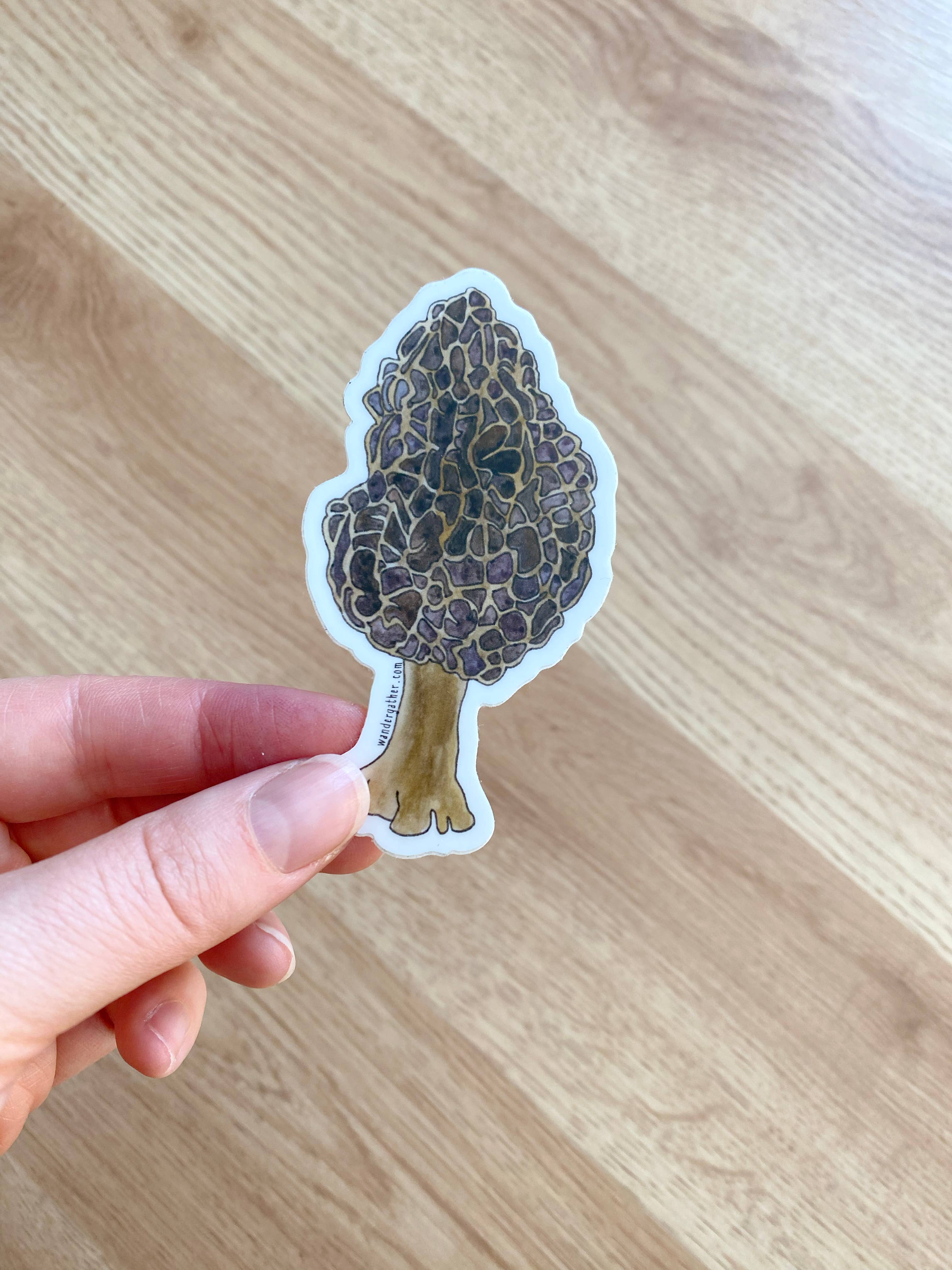 Wander & Gather - Wholesale Sticker - Morel Mushroom Foraging Waterproof Sticker1