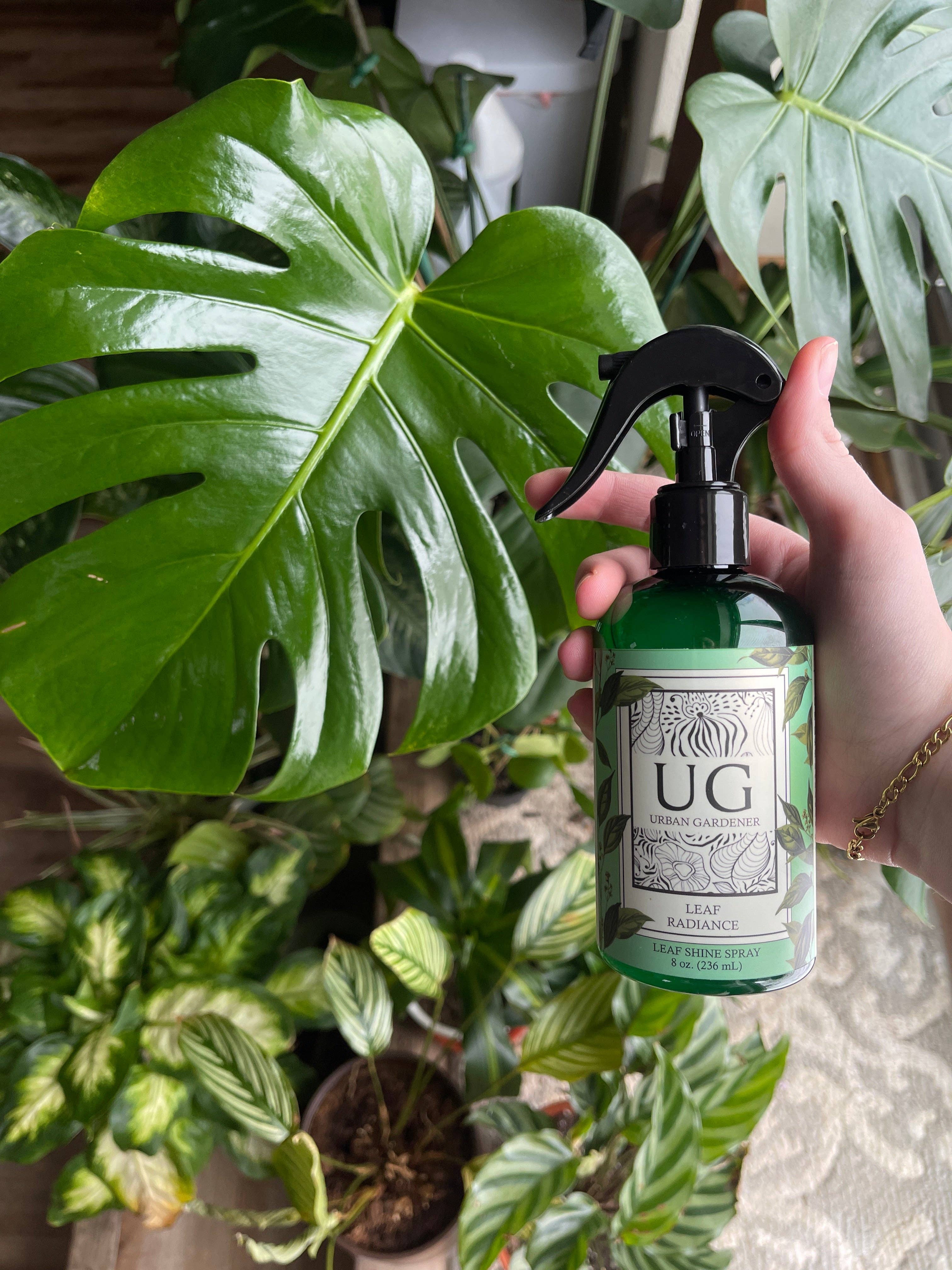 Urban Gardener - Wholesale Plant Mister - Leaf Radiance - Natural Houseplant Cleaner & Shine4