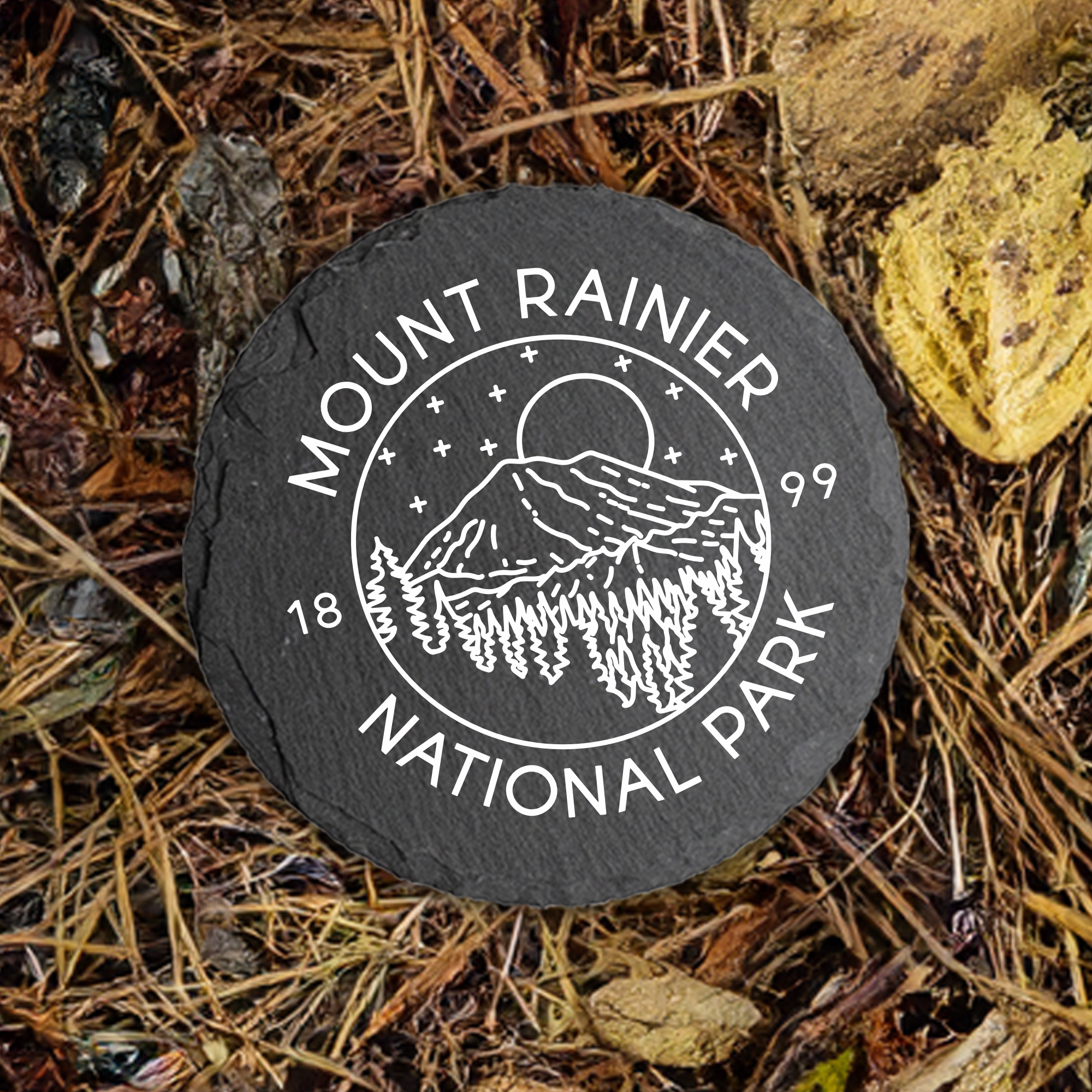 Blue Ridge Mountain Gifts - Wholesale Coasters - Mount Rainier National Park - UV Printed Coasters0
