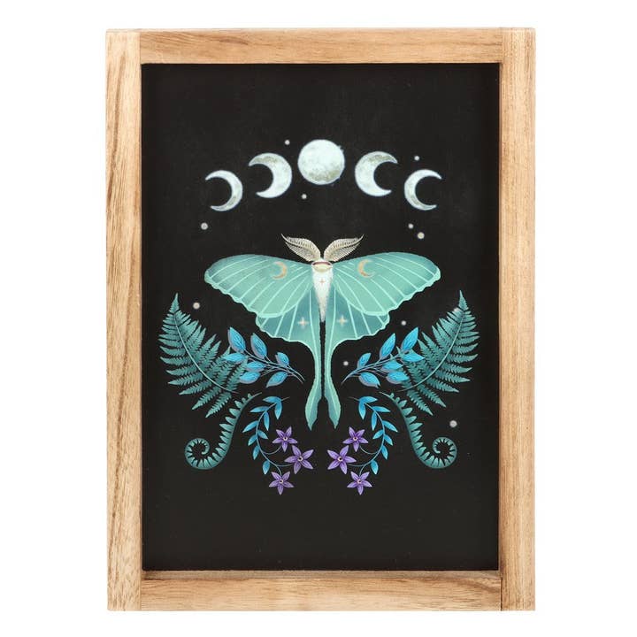 Something Different Wholesale - Vendita all'ingrosso Stampa artistica - Decorazione da parete con cornice in legno Luna Moth1
