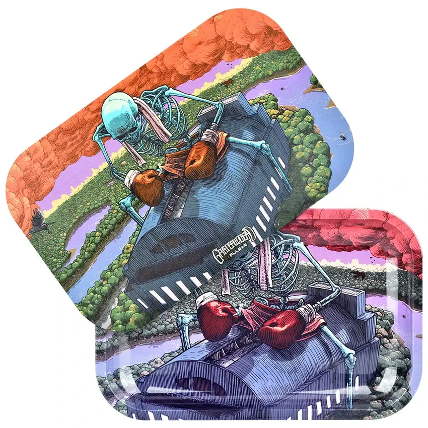 Sunshine Joy – wholesale Decorative tray – The Boxer Grateful Dead Metal Tray w/ Magnetic Lid Cover0