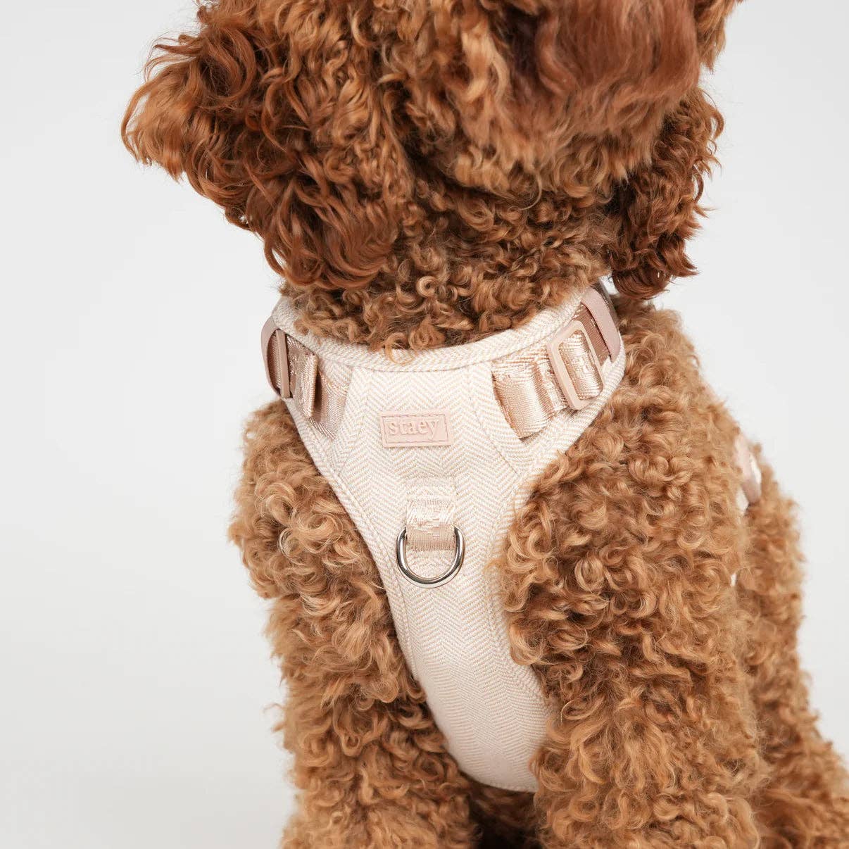 Staey - Wholesale Pet Harness - Dog - Elma Dog Harness | Light Rose8