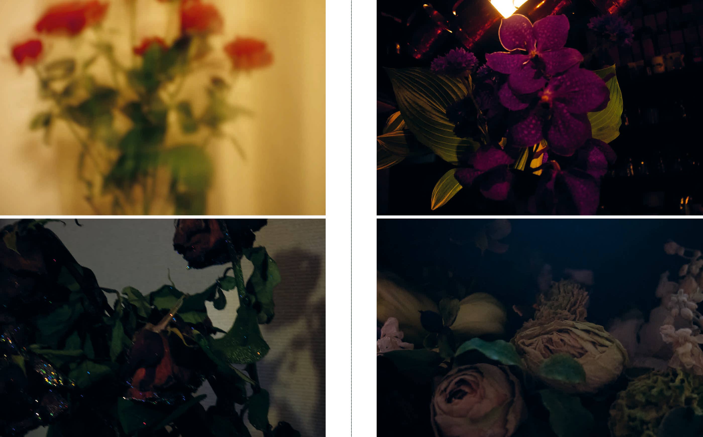 Penguin Random House LLC - Wholesale Display Book - Sakiko Nomura4