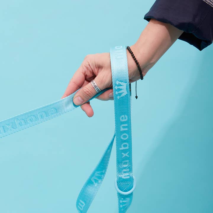 ARISTOPET - Wholesale Pet Leash - Dog - GO WITH EASE HANDS-FREE LEASH12