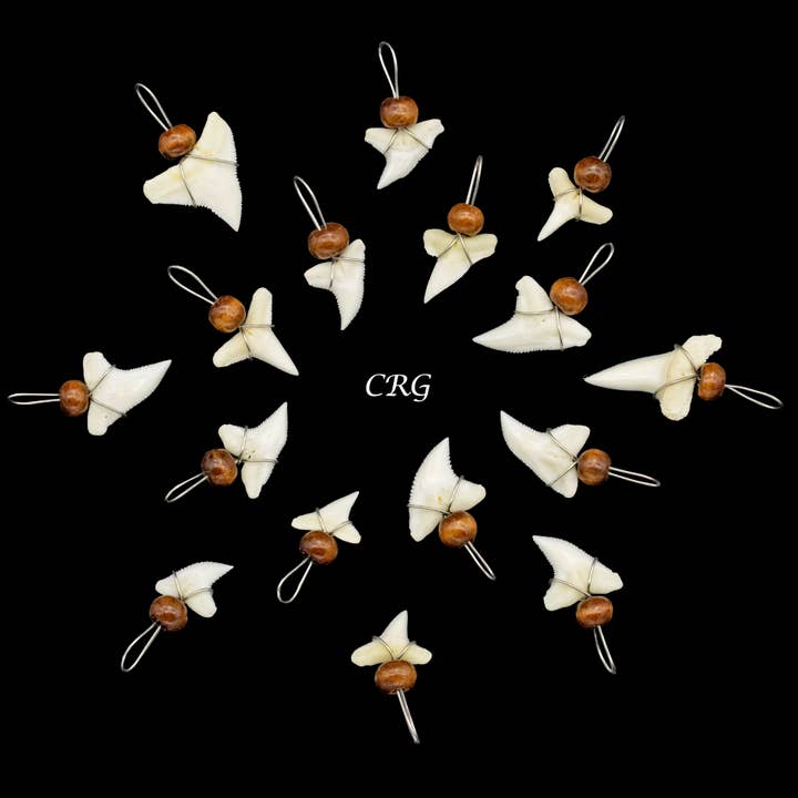 Set of 4 - Shark Tooth Pendant - Wood Bead for wholesale by Crystal River Gems LLC