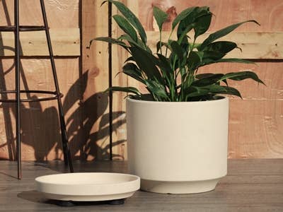 Pacific Home & Garden - Wholesale Planter Box - Mid Modern Ivory Clay Planter With Detached Saucer1