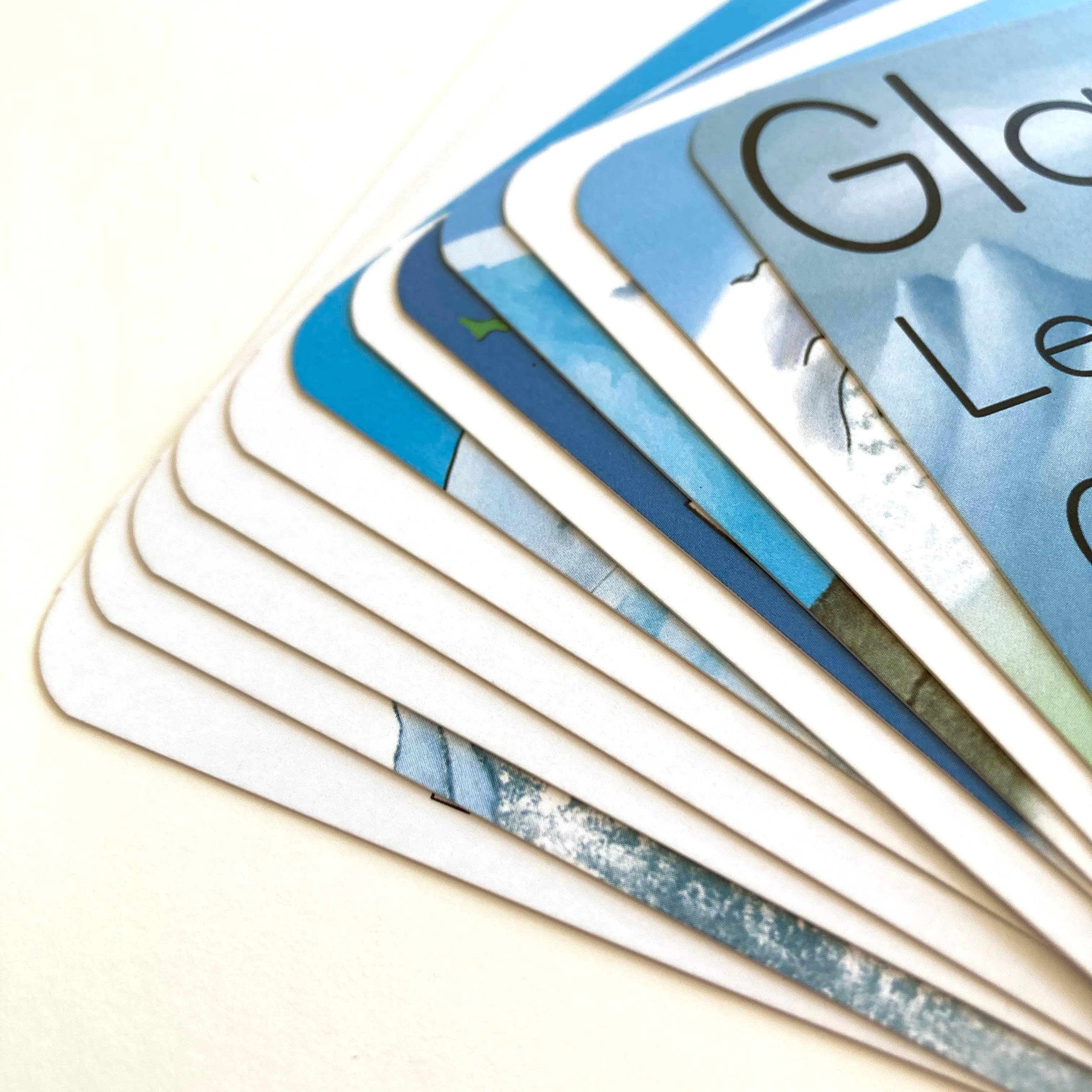 Tiny Nest Studio - Vendita all'ingrosso Carte didattiche - Bambini e neonati - Schede didattiche Glaci7