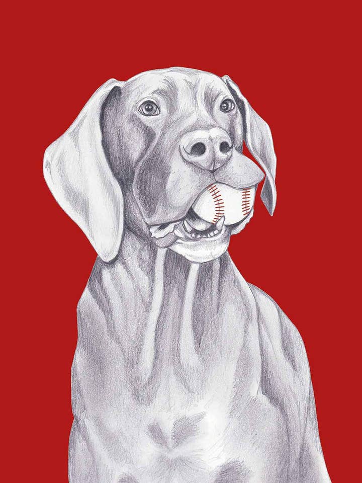 Deutsche Dogge für den Großhandel von I AM NIEN