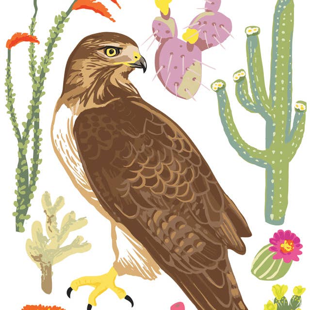 RBI-9177 Rotmilan und Kakteen Aufkleber für den Großhandel von Rigel Paper