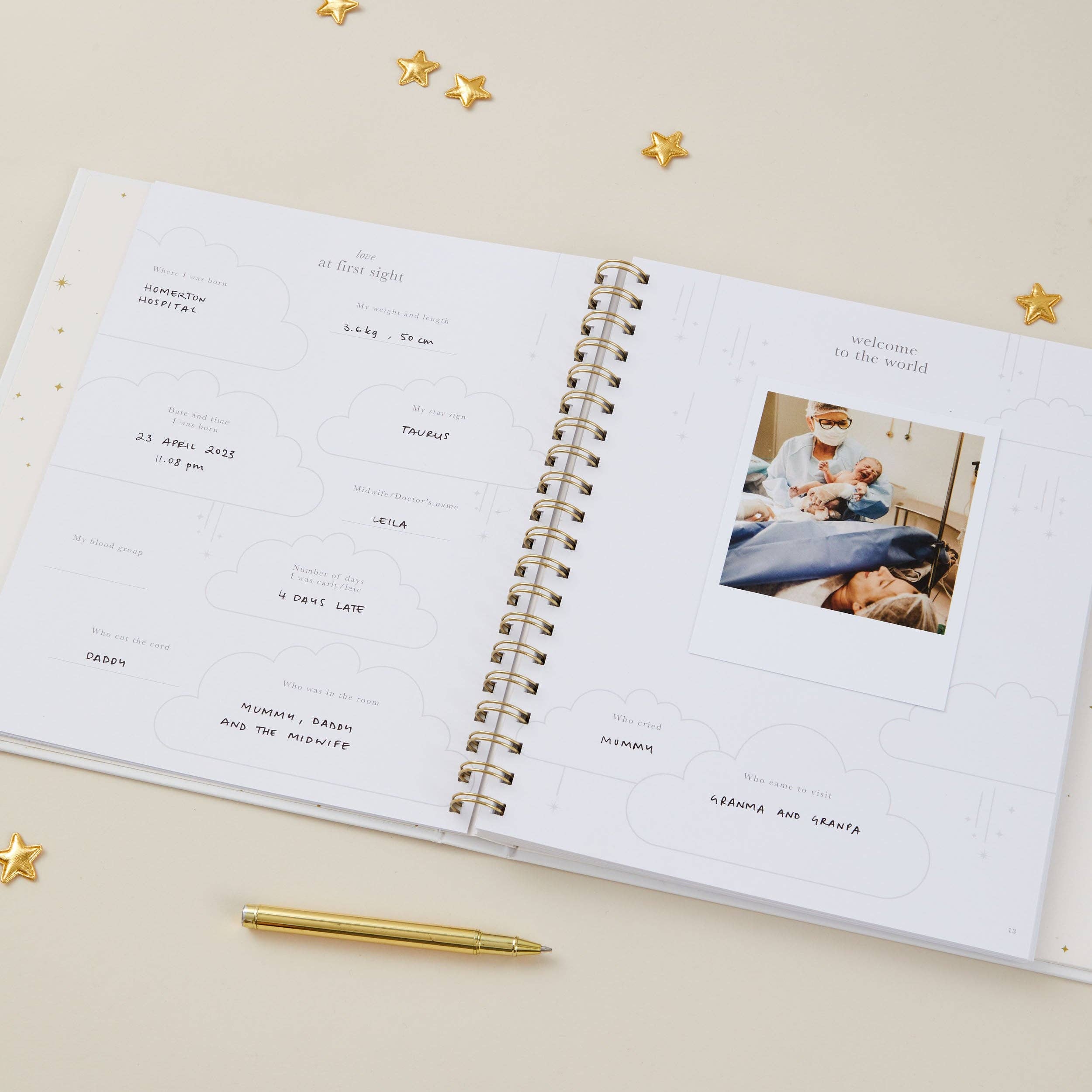 Blush And Gold - Wholesale Memory Book - Kids & Baby - My Baby Book - Pearl (Cloth) luxury keepsake memory baby boo6