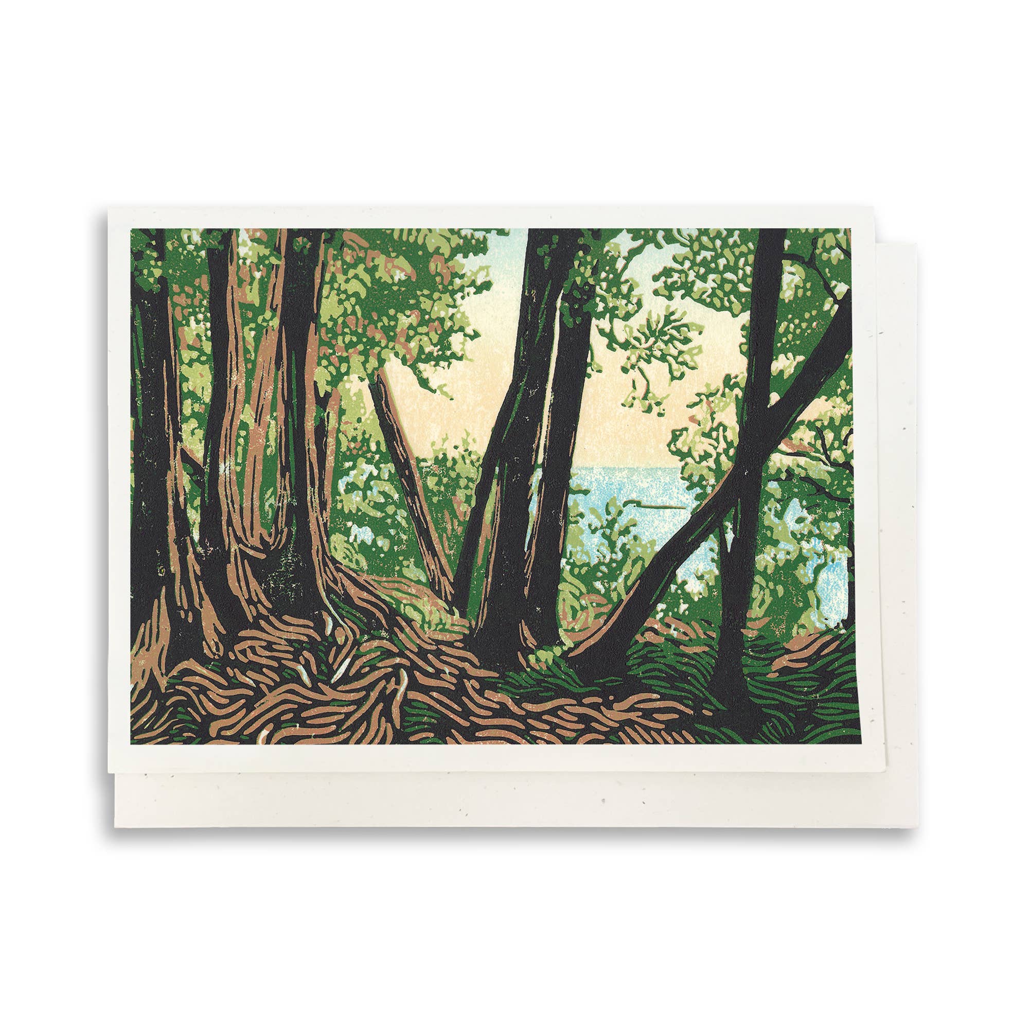 Peninsula Prints - Wholesale Everyday Greeting Card - Trail Lookout Blank Greeting Card