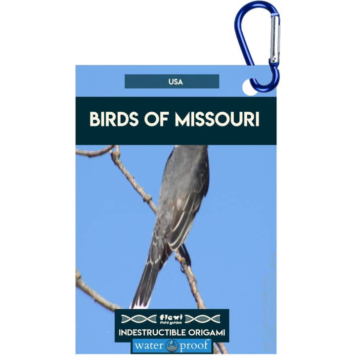 Oiseaux du Missouri-Origami indestructible pour la vente par Flexi Field Guides