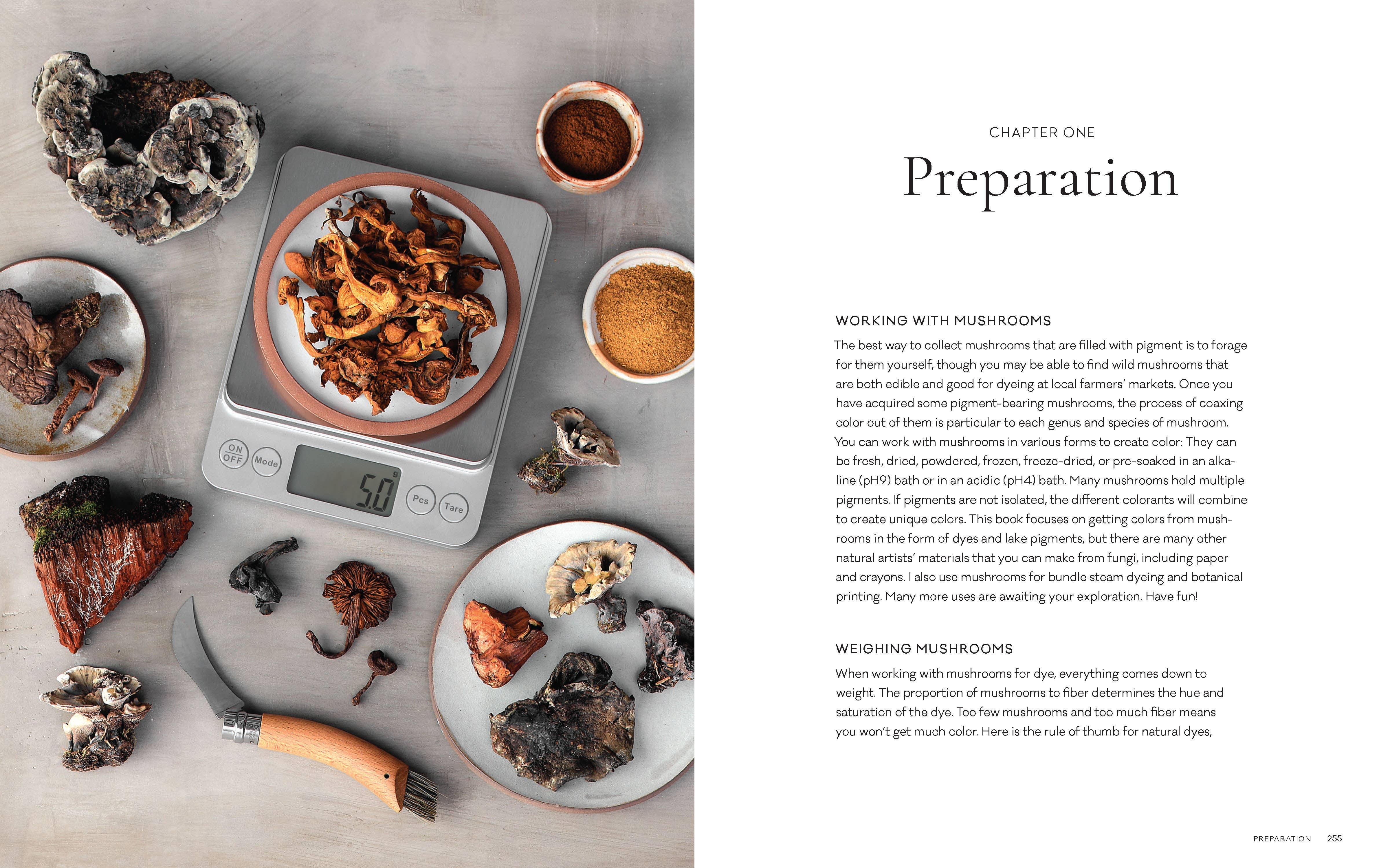 Chronicle Books - Wholesale Nature & Outdoors - Mushroom Color Atlas10