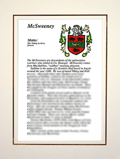 John McSweeney pour la vente par Family Histories