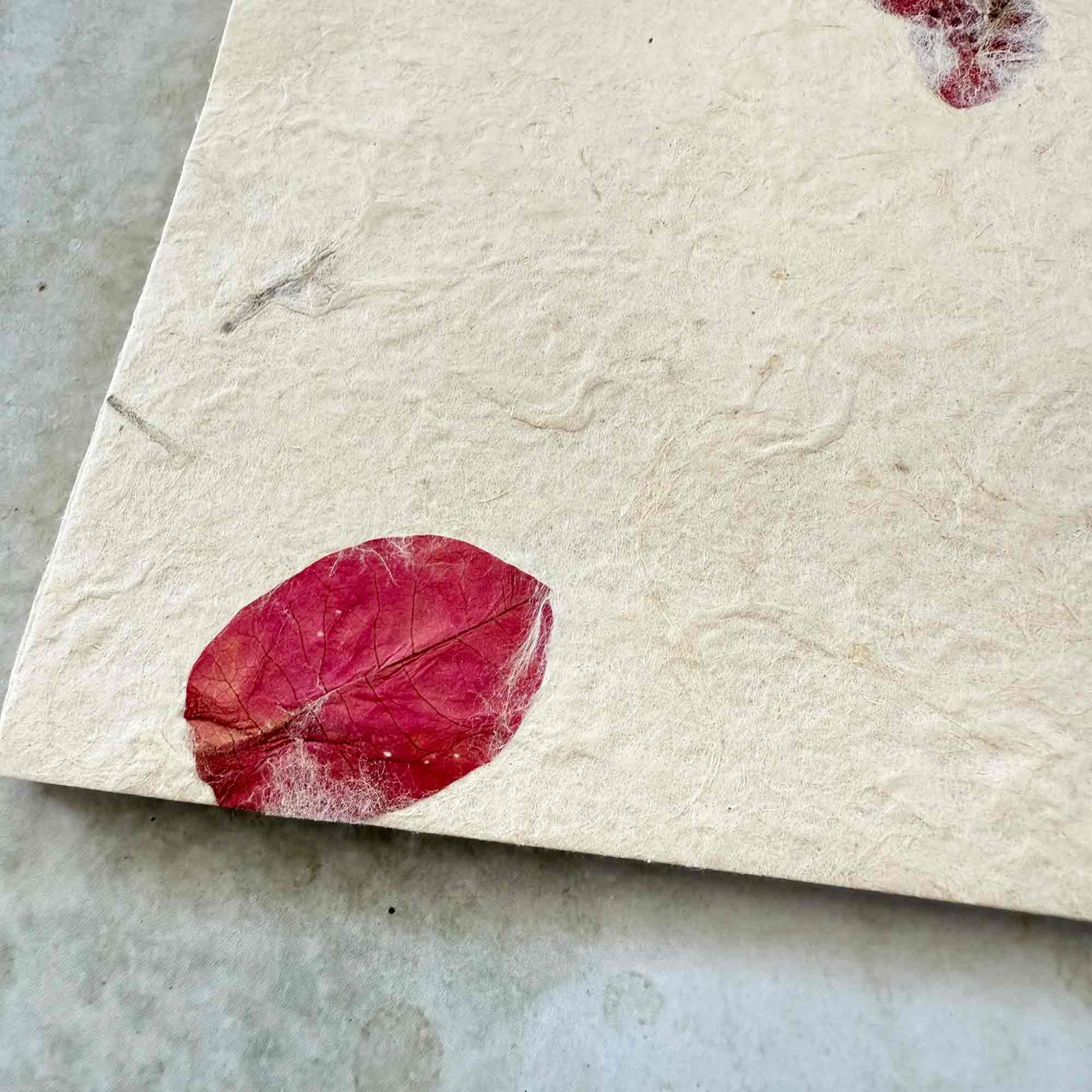 The Natural Paper Company – Conjunto de notas por atacado – Papel Lokta Nepalês Artesanal com Flores de Bougainvillea e Envelopes3