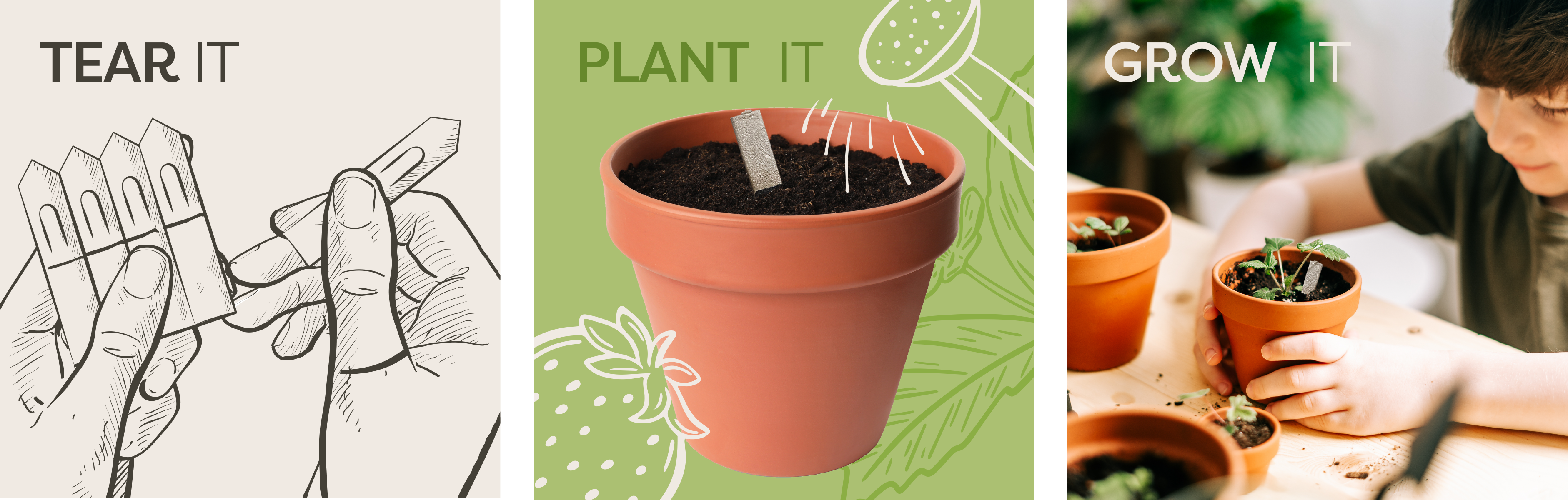 Seedsticks® – wholesale Plant seeds – Bee Seedsticks® Display Box3