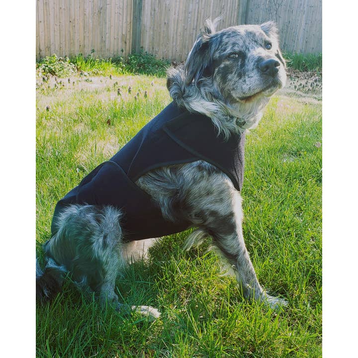 Healers PetCare - Wholesale Pet Coat - Dog - Healers Therapeutic & Anxiety Front Body Wrap10