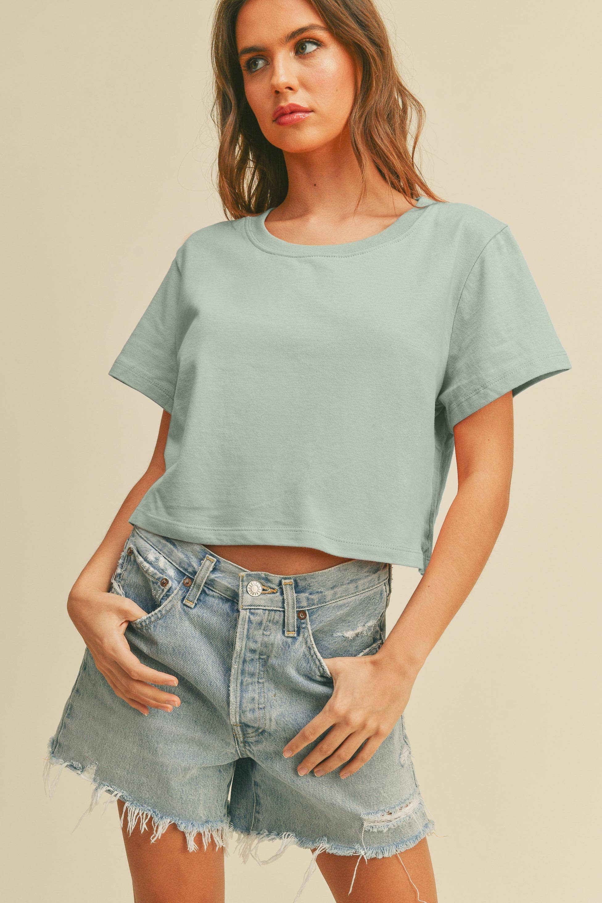 Honestee - Wholesale T-Shirt (Graphic) - Women's - Blank Short Cropped T-Shirt19