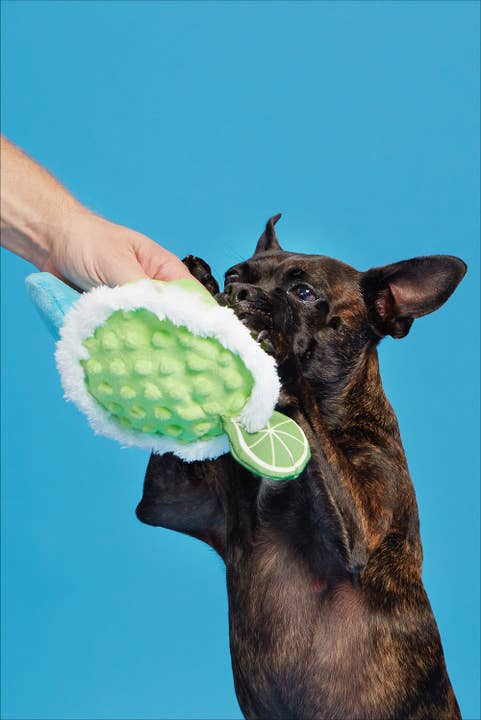 Pet Palette Distribution - Wholesale Pet Plush Toy - Dog - BARK Muy Squeaky Margarita