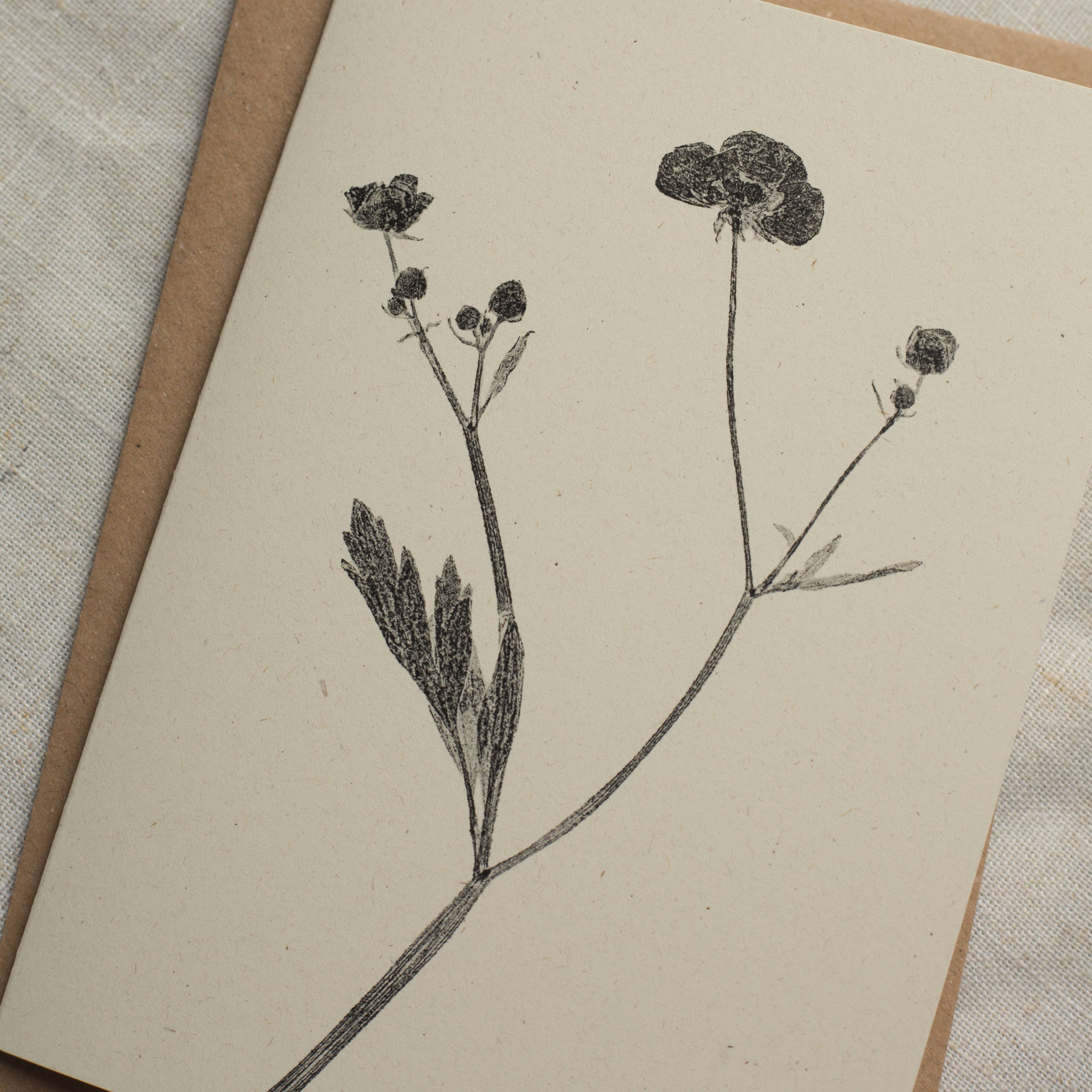 Alicia Breakspear – wholesale Everyday greeting card – Meadow Buttercup Flower Greeting Card A6 Recycled Card3