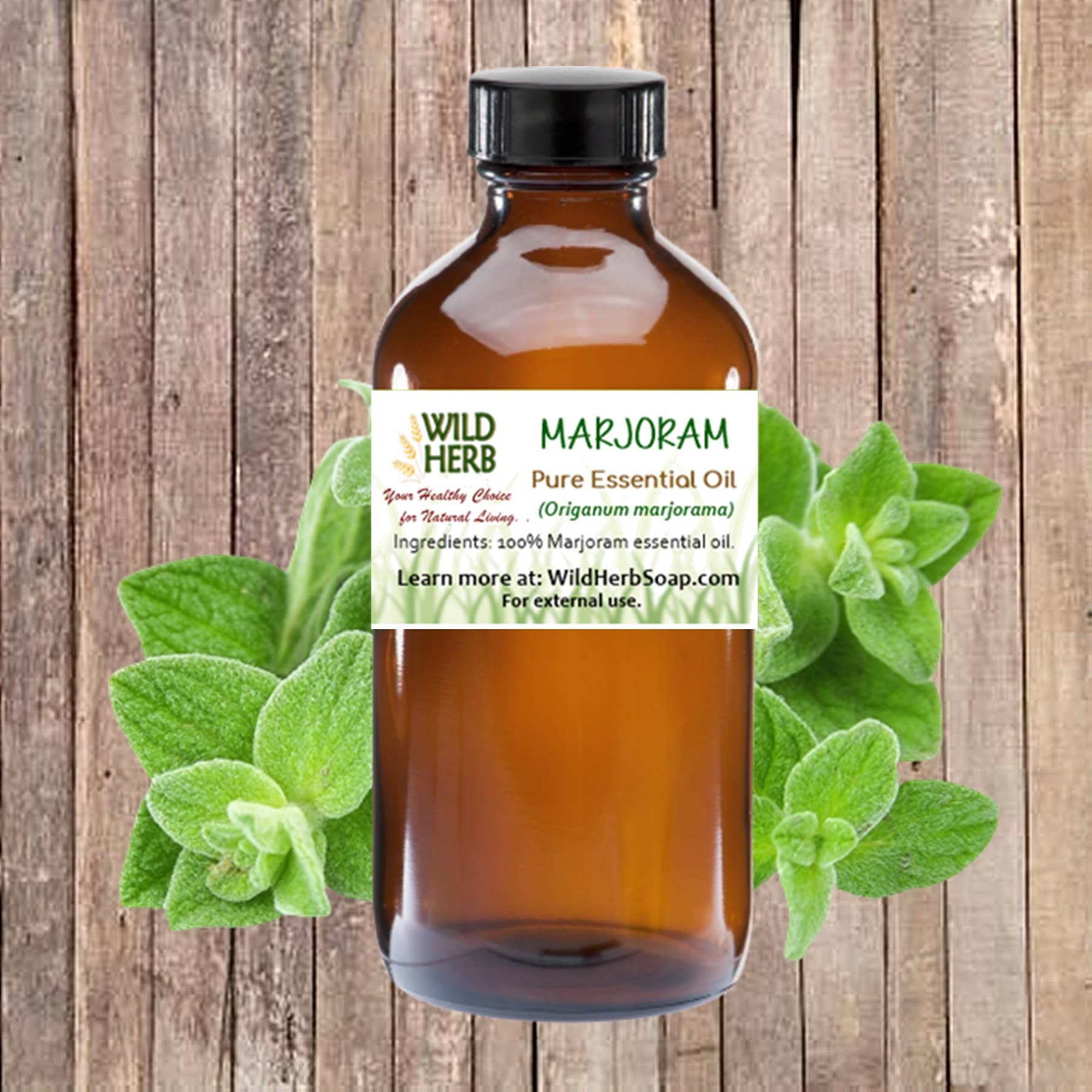 Wild Herb Soap Co – wholesale Essential oil – Cypress Pure Essential Oil Choose 1 or 2 oz size  (Copy)0