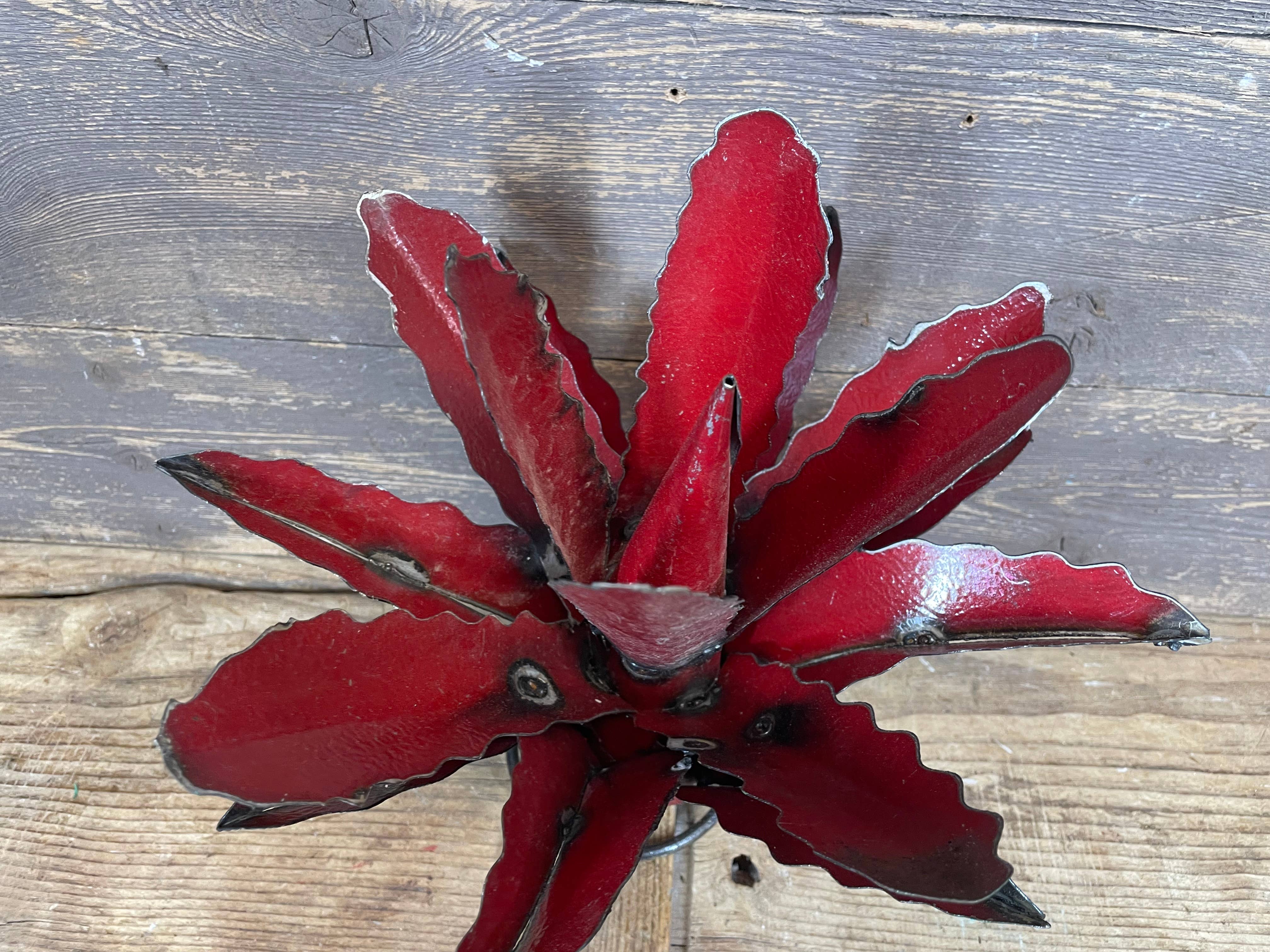 My Amigos Imports - Vendita all'ingrosso Decorazioni da tavolo - Maguey Agave Cactus di Metallo Colorato-Cactus-33x28 cm-NUOVO1