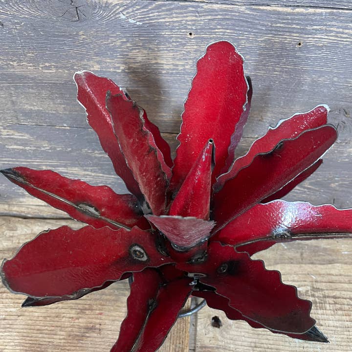 My Amigos Imports - Vendita all'ingrosso Decorazioni da tavolo - Maguey Agave Cactus di Metallo Colorato-Cactus-33x28 cm-NUOVO1