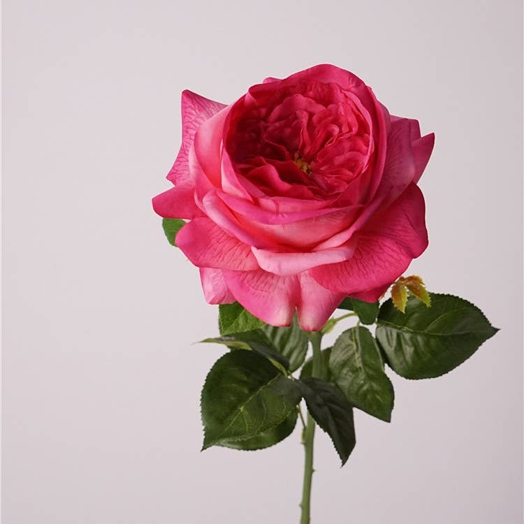 Sweet Home Deco - Wholesale Artificial Flowers - 26‘’T Real Touch Juliet Blooming Rose Spray, Spring Roses3