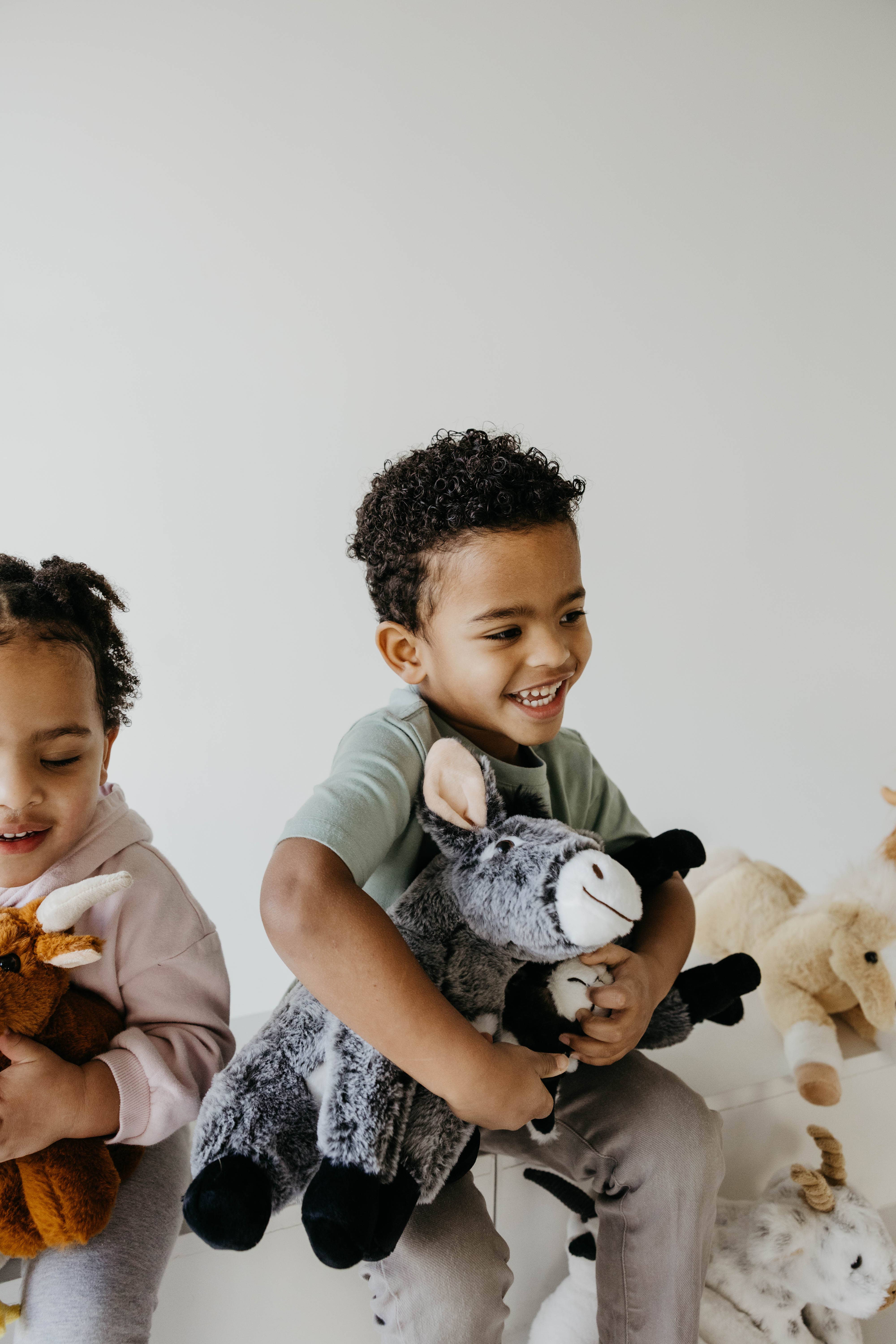 The Petting Zoo – wholesale Stuffed/plush toy – Kids & baby – 12" (28cm) Wild Onez Donkey Farm/Barnyard stuffed plush3