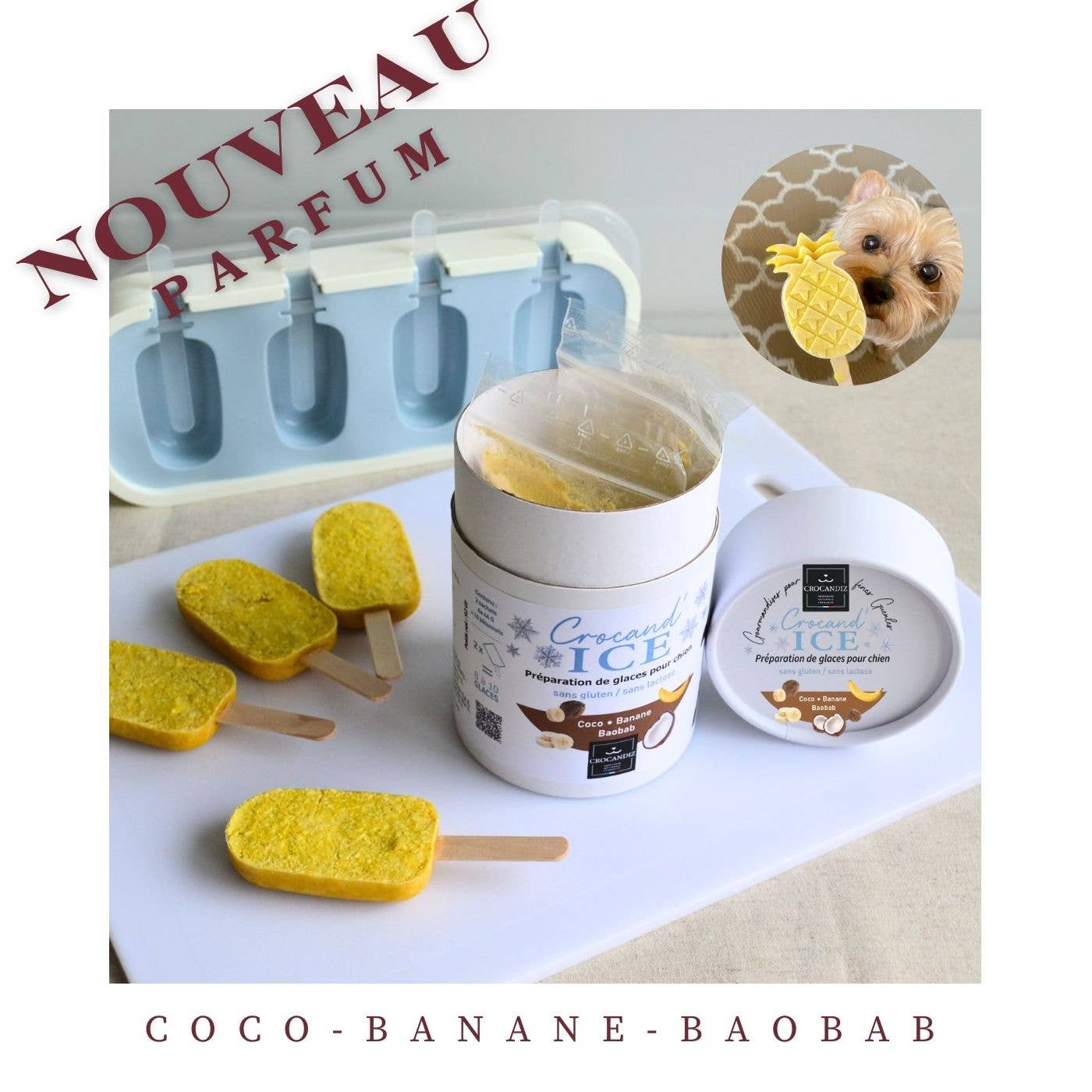 Crocandiz - Wholesale Pet Treats - Dog - Dog treat, Dog ice cream Coconut, Banana2